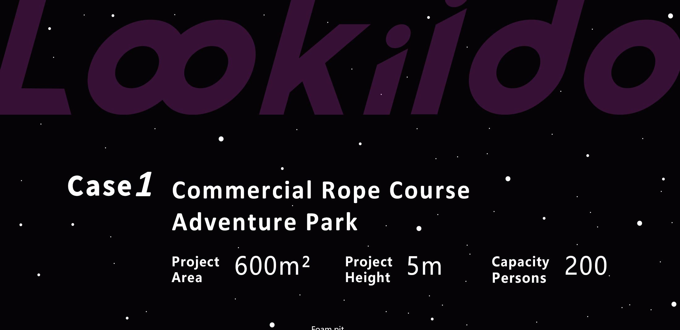 Commercial Ninja Rope Course Space Cyberpunk Adventure park with Rock Climbing Wall Zipline