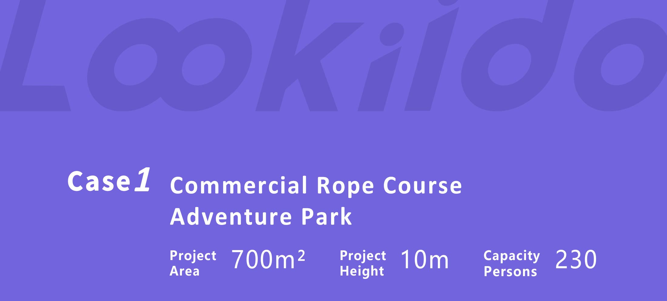Commercial Rope Course Adventure Park Indoor Comprehensive Trampoline Playground